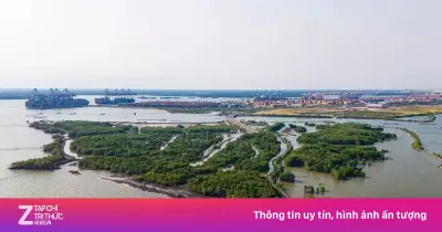 Siêu cảng Cái Mép Hạ hơn 50.000 tỷ đồng chính thức khởi công tại TP.HCM