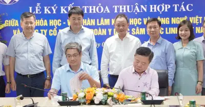 Sâm Ngọc Linh: Hợp tác khoa học để chuẩn hóa và thương mại hóa dược liệu quý