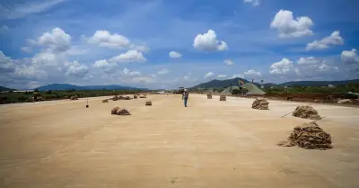 Sân bay Liên Khương mở lại 19/8, Lâm Đồng khôi phục toàn bộ đường bay