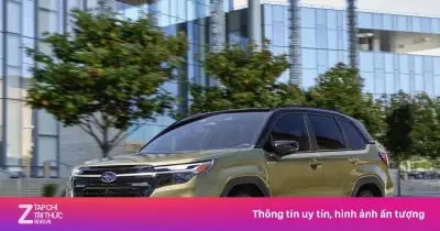 Subaru triệu hồi hơn 540.000 xe tại Mỹ vì nhãn dán sai tải trọng