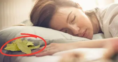 Đặt 5 vật dưới gối để thu hút may mắn, tài lộc theo Vastu Shastra