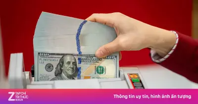 Tỷ giá trung tâm USD/VND lập kỷ lục mới 25.306 đồng