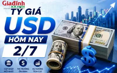 Tỷ giá USD hôm nay 2/7: Đô la Mỹ đồng loạt giảm tại một số ngân hàng thương mại và chợ đen