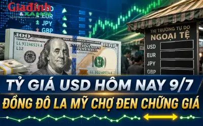 Tỷ giá USD hôm nay 9/7: Đồng đô la Mỹ thị trường chợ đen chững giá