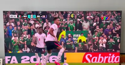 TCL C8L: TV Mini LED 6000 nits, âm thanh Bang & Olufsen đỉnh cao
