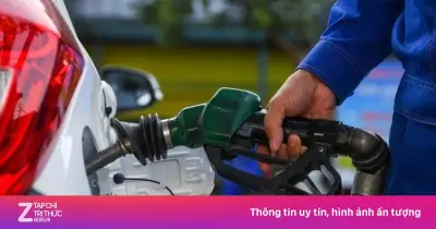 Thanh tra diện rộng kinh doanh xăng dầu trong 30 ngày từ 8/7