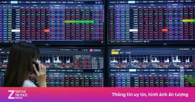 Thu nhập môi giới chứng khoán giảm kỷ lục, có người chỉ còn 7 triệu/tháng