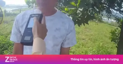 Tài xế xe khách có nồng độ cồn chở 47 công nhân: 'Không tìm được người lái thay'