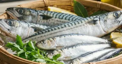Tiểu đường: Chuyên gia khuyên ăn 4 loại cá giàu omega-3