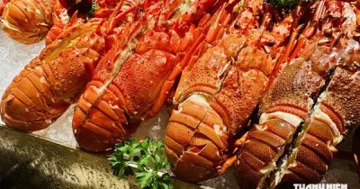 Tôm hùm Việt Nam đứng trước cơ hội trở thành ngành hàng tỉ USD