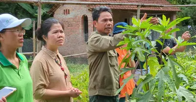 Tìm người trẻ kể chuyện truyền cảm hứng về cánh đồng sinh thái