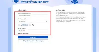 Tra cứu điểm thi THPT 2026: Thời gian, địa chỉ chính xác