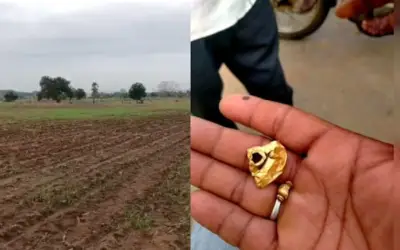 Tranh chấp vàng cổ 1,7 tỷ đồng tại Ấn Độ: Ai là chủ sở hữu?