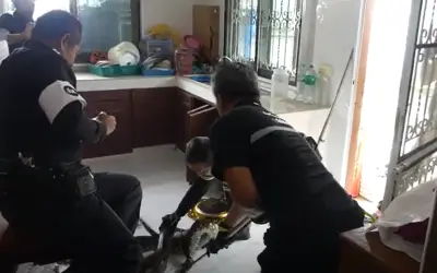 Trăn khổng lồ dài 5m nuốt chửng mèo cưng ở Thái Lan