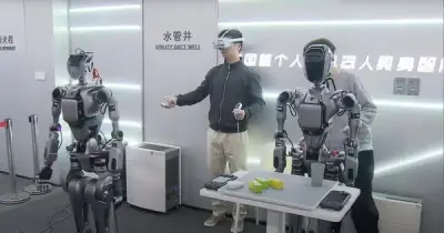 Trung Quốc mở trường robot đặc biệt: học gấp quần áo, nấu ăn để tạo dữ liệu không thể sao chép