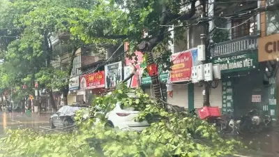 Tuyên Quang thiệt hại 17 tỷ đồng do mưa dông, hơn 133ha lúa bị ảnh hưởng