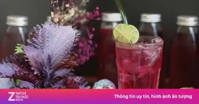 Uống nước lá tía tô vào 3 thời điểm này để đạt hiệu quả tốt nhất