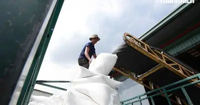 USDA dự báo Việt Nam xuất khẩu 8,1 triệu tấn gạo năm 2026, tăng 200.000 tấn
