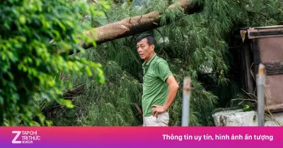 Video: Khu du lịch quốc gia Trà Cổ tan hoang sau bão số 1