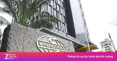 Vinaconex chốt quyền trả cổ tức 16%, cổ đông lớn sắp nhận 500 tỷ đồng