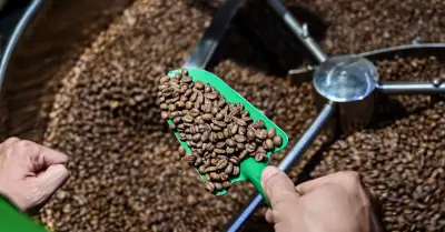 Việt Nam bán triệu tấn hạt, Trung Quốc ồ ạt mua giá cao thành khách hàng lớn