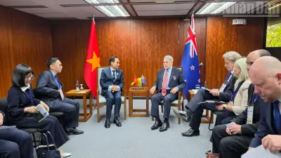 Việt Nam điều phối ASEAN-New Zealand, thúc đẩy quan hệ Đối tác chiến lược toàn diện