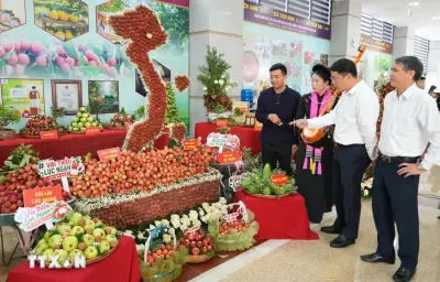 Vận hành hệ thống truy xuất nguồn gốc nền tảng số cho nông sản Việt vươn xa