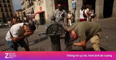 WHO cảnh báo 'nhiều tuần chết chóc' tại châu Âu khi nắng nóng quay lại
