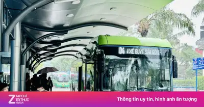 Xe buýt miễn phí tại TP.HCM từ 1/7: 134 tuyến, không cần check-in 3 tháng đầu