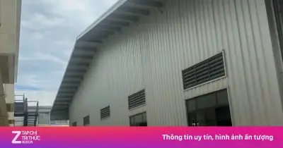 Xây nhà xưởng không phép, Công ty Hello Quốc tế bị phạt 130 triệu đồng