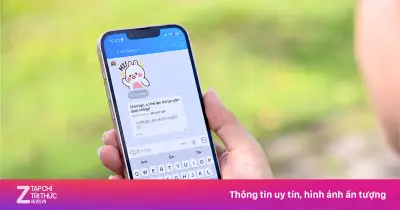 Zalo nâng cấp loạt tính năng mới: Dịch AI, đồng bộ dữ liệu, tích hợp OpenClaw