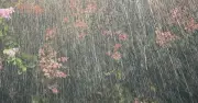 4 đợt mưa lớn dồn dập ở miền Bắc, nguy cơ bão số 2 và lũ quét