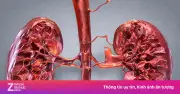 5 thói quen ăn uống âm thầm 'bào mòn' sức khỏe thận