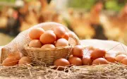 7 thực phẩm không nên kết hợp với trứng: Chuyên gia dinh dưỡng cảnh báo