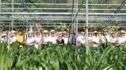 8.000 cây dừa được trao tặng cho Vùng 4 Hải quân xanh hóa Trường Sa