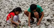 81% khả năng El Nino thành siêu El Nino vào cuối năm 2026
