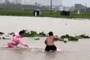 900 con rắn sổng chuồng sau lũ ở Quảng Tây, hé lộ ngành nuôi rắn y học
