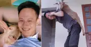 9X Hải Phòng nuôi thú cưng có sừng, chủ đi xa liền lên sàn thương đổi