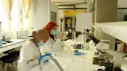 Algeria nỗ lực trở thành trung tâm dược phẩm châu Phi