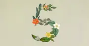 Anthropic ra mắt Claude Sonnet 5: Hiệu năng ngang Opus 4.8, giá chỉ bằng một nửa