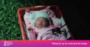 Bé gái sơ sinh bị bỏ rơi bên đường ở Phú Thọ, chính quyền tìm thân nhân