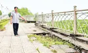 Bờ kè sông Cổ Chiên sụt lún, lấn chiếm nghiêm trọng, cần xử lý khẩn