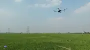 Bộ NN-MT bổ sung 30 thuốc BVTV sinh học, 6 thuốc dùng drone vào danh mục 2025