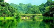 Bộ NNMT muốn tiếp tục quản lý 4 vườn quốc gia Cúc Phương, Tam Đảo, Bạch Mã, Yok Đôn
