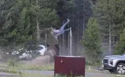 Bò rừng tấn công du khách tại Yellowstone, nạn nhân gãy xương hông