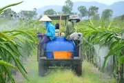 Bổ sung 6 thuốc BVTV được phép phun bằng drone, ưu tiên thuốc sinh học