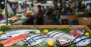 Bổ sung omega-3: Uống bao lâu, trước hay sau bữa ăn?