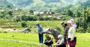Bộ tiêu chí nông thôn mới Thanh Hóa giai đoạn 2026-2030: 100% phủ sóng viễn thông