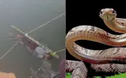 Bé trai 13 tuổi tử vong vì bị rắn cắn, gia đình tin pháp sư thả xuống sông Hằng 12 giờ