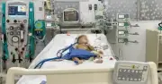Bé trai 14 tháng tuổi bị ong đốt 20 vết, suy đa cơ quan được cứu sống